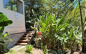 Suites casa do indio jungle, a melhor vista da floresta